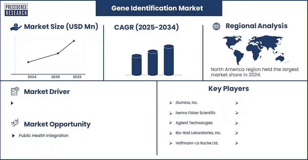 Gene Identification Market Revenue Statistics
