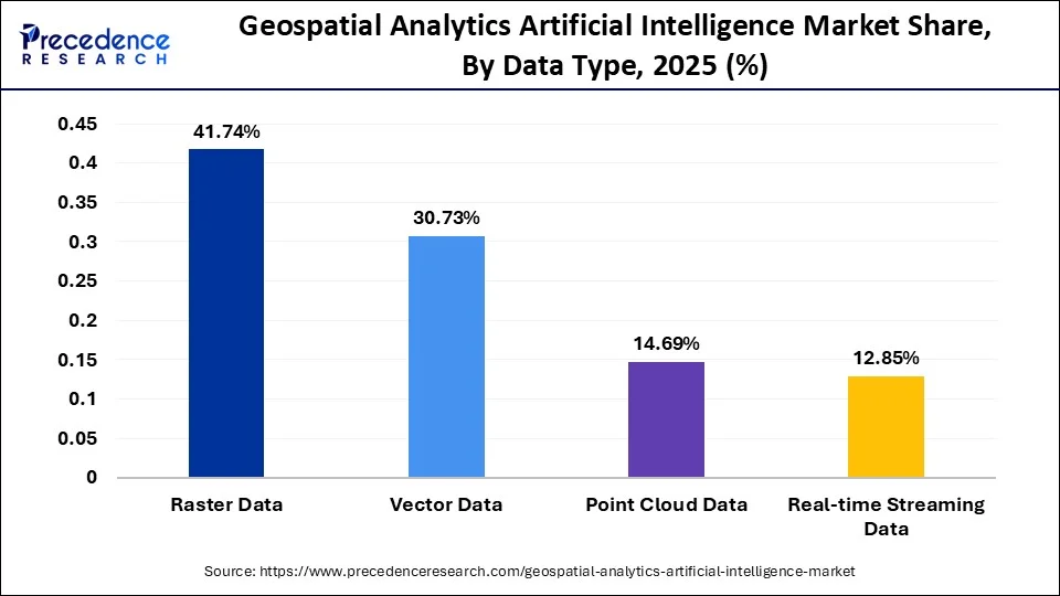 Geospatial Analytics Artificial Intelligence Market Share, By Data Type, 2025 (%)