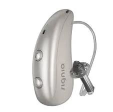 Hearing Aid
