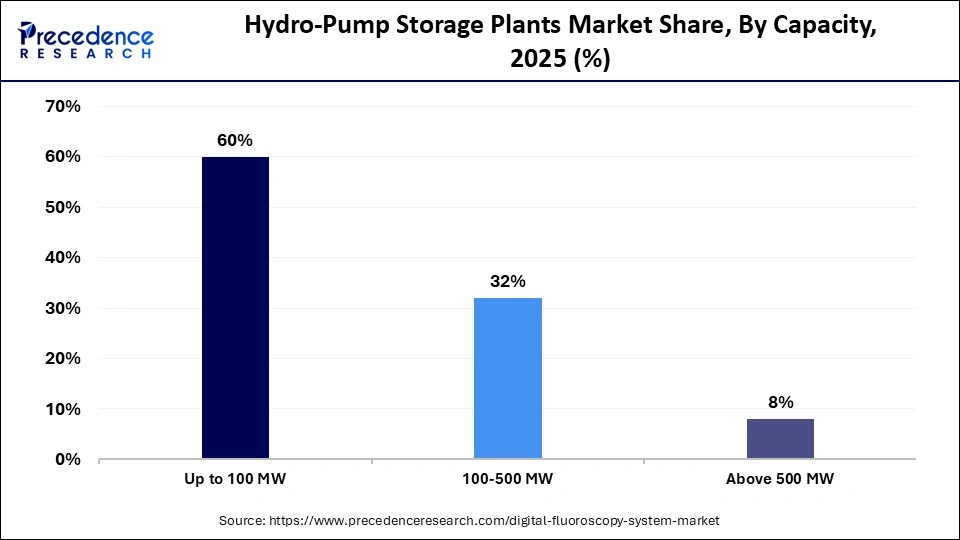 Hydro-Pump Storage Plants Market Share, By Capacity, 2025 (%)
