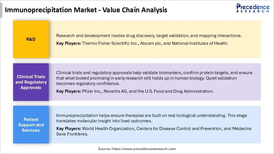 Immunoprecipitation Market Value Chain Analysis
