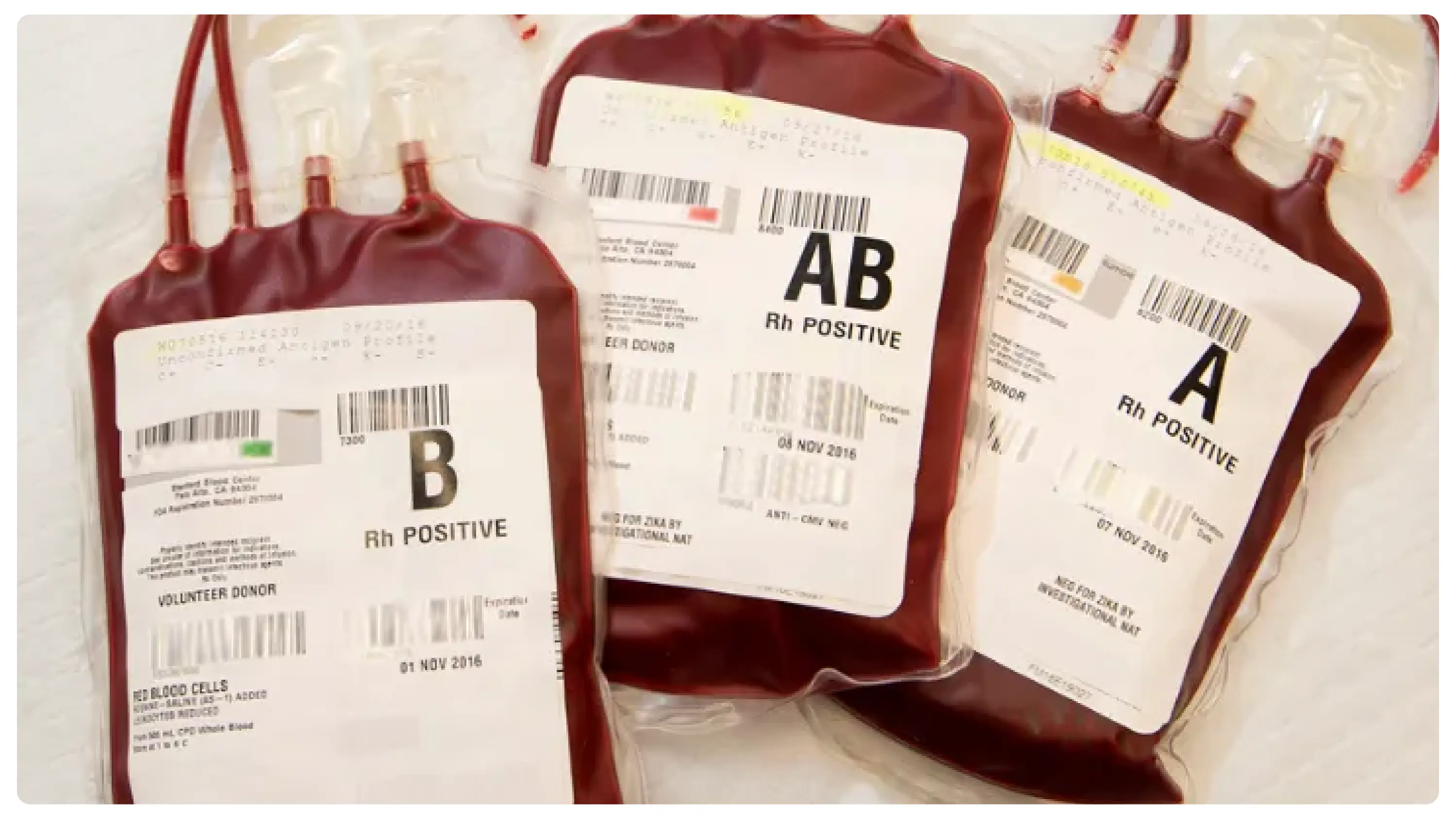 India Blood Bank Market Digital Rule India Blood Bank Market Digital Rule