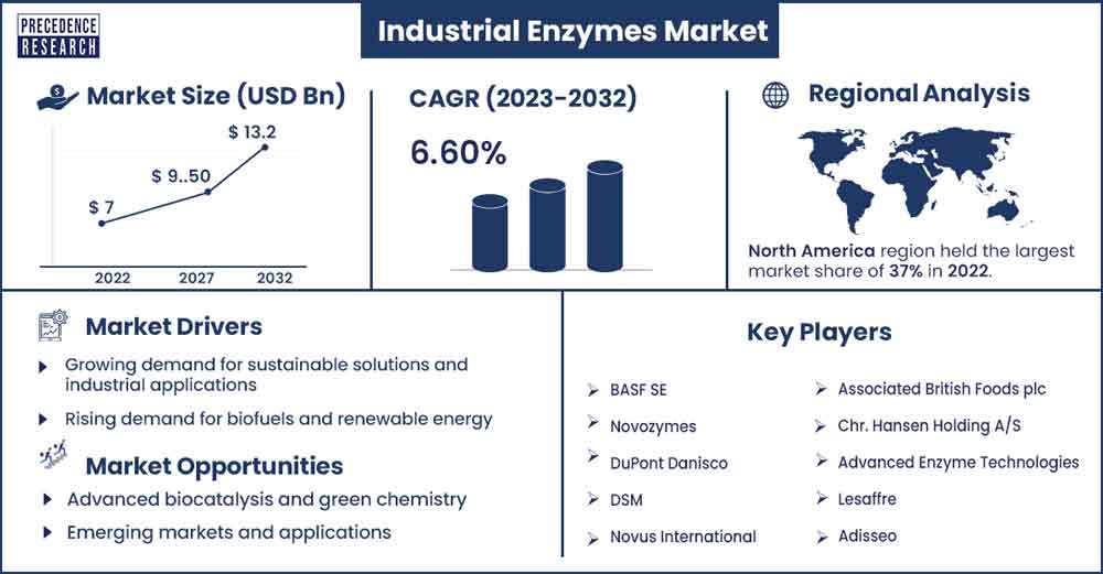 Industrial Enzymes Market Size and Growth Rate From 2023 to 2032