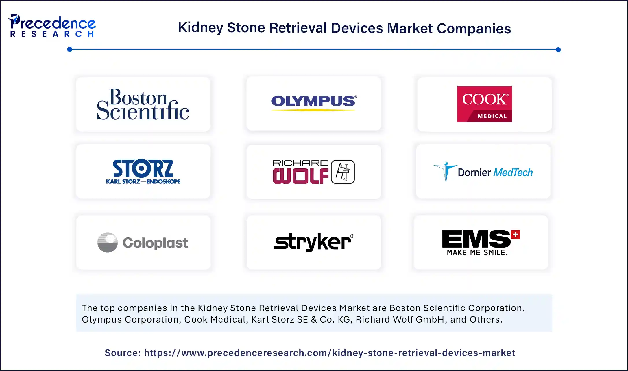 Kidney Stone Retrieval Devices Market Companies