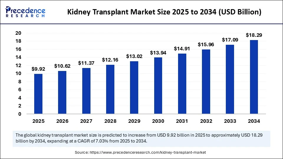 Kidney Transplant Market Size 2025 to 2034
