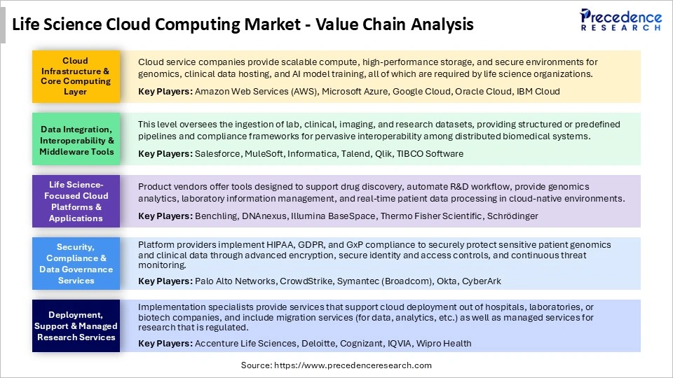 Life Science Cloud Computing Market Value Chain