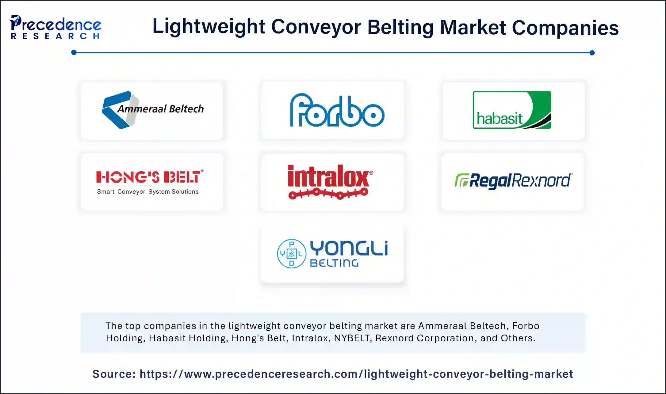 Lightweight Conveyor Belting Market Companies