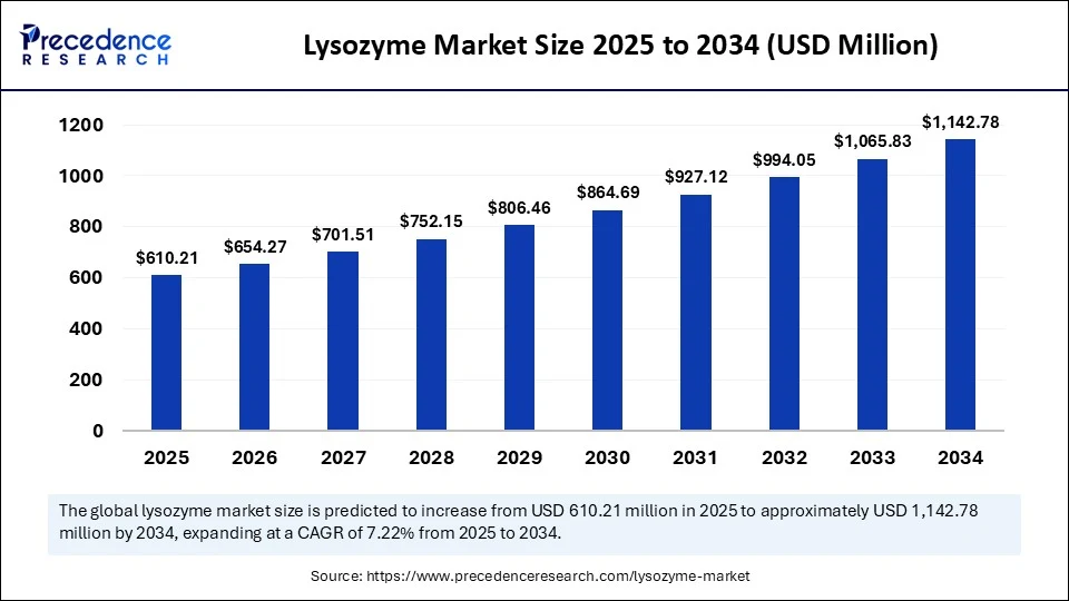 Lysozyme Market Size 2025 to 2034