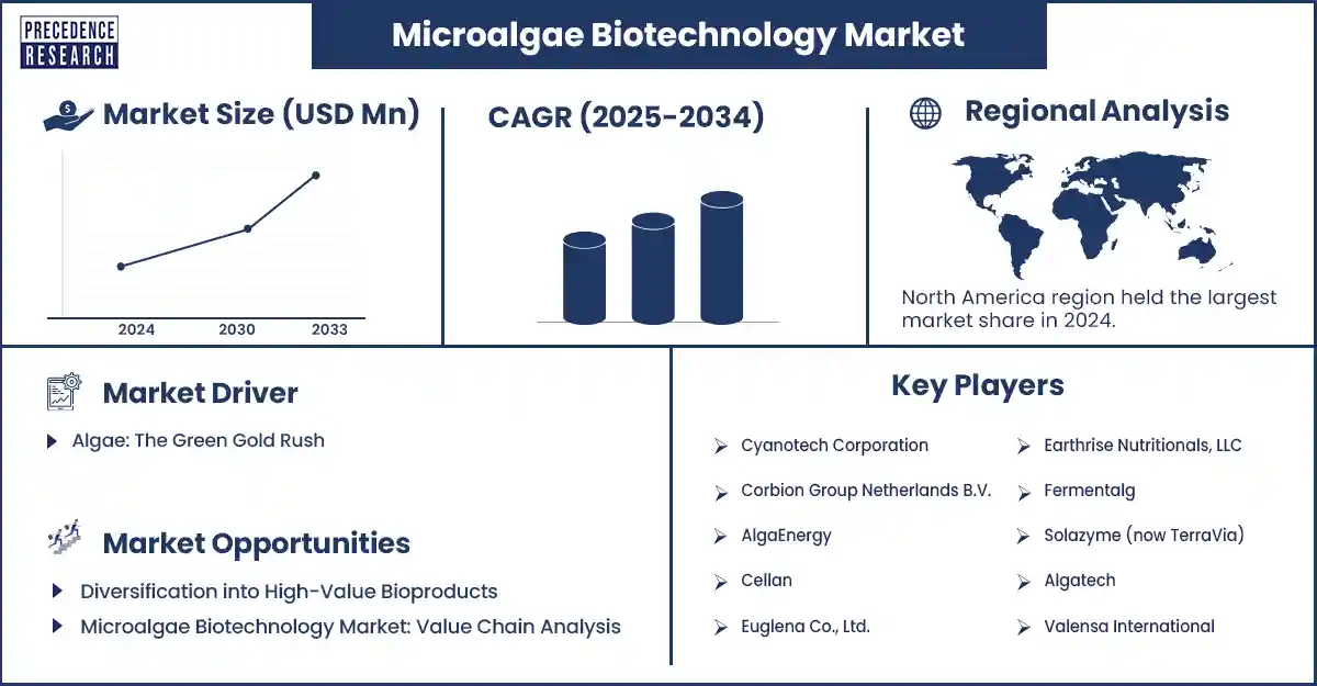 Microalgae Biotechnology Market Revenue Statistics