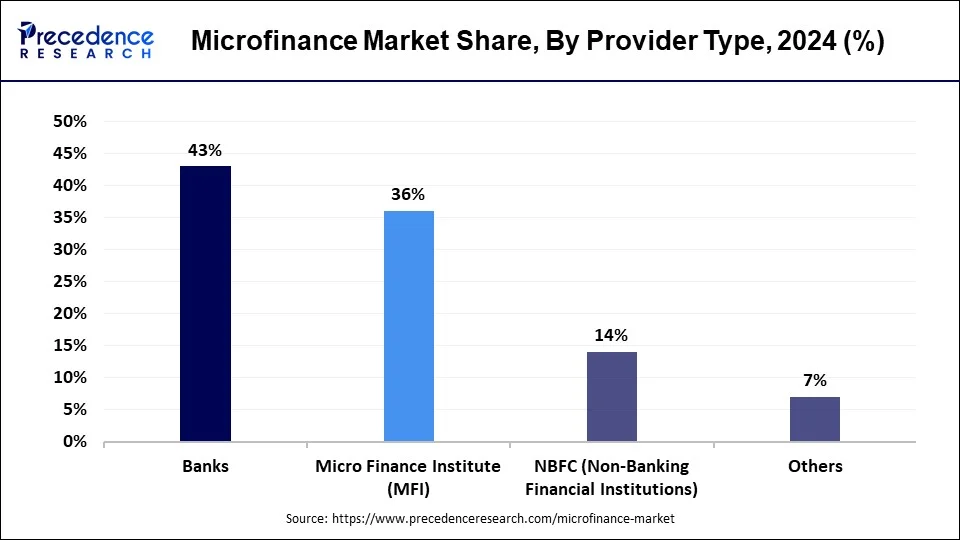 Microfinance Market Share, By Provider Type, 2024 (%)