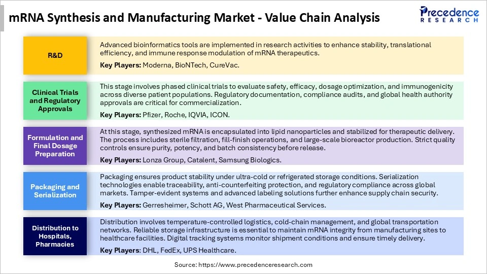 mRNA Synthesis and Manufacturing MarketValue Chain Analysis