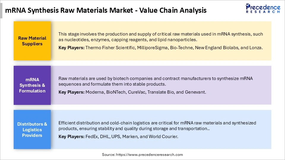 mRNA Synthesis Raw Materials MarketValue Chain Analysis