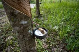 Natural Rubber Natural Rubber