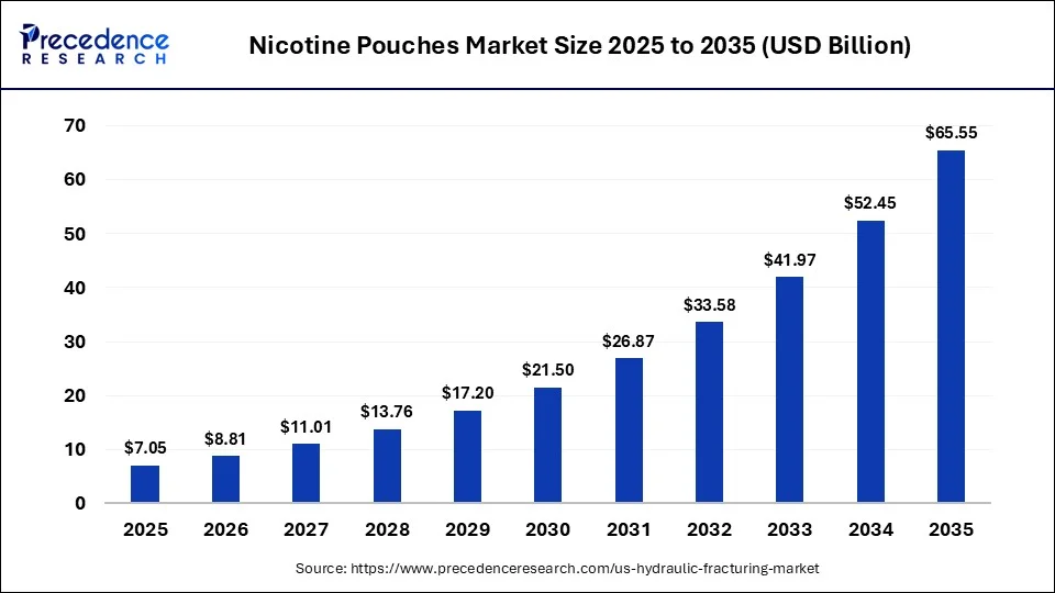 Nicotine Pouches Market Size 2025 to 2035