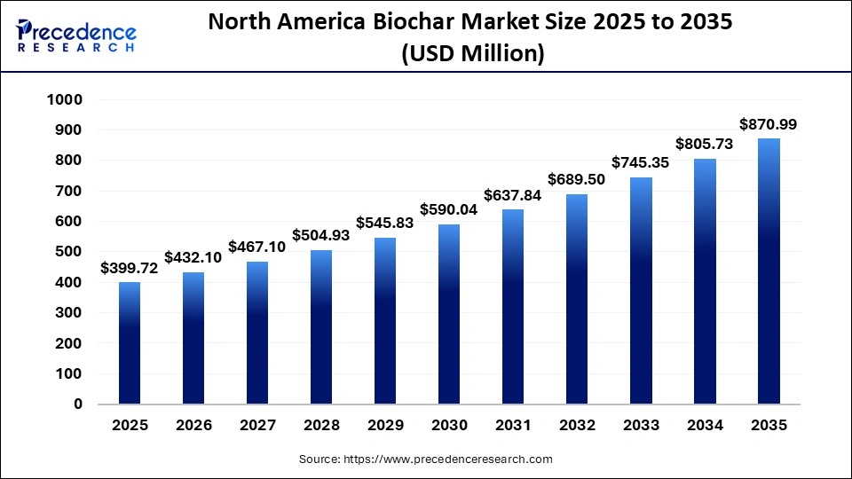 North America Biochar Market 2025 to 2035