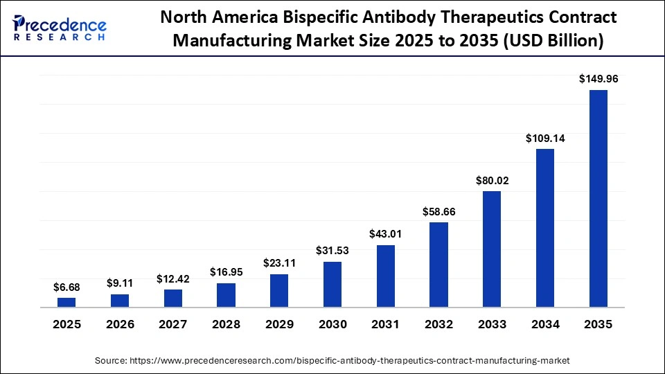 North America Bispecific Antibody Therapeutics Contract Manufacturing Market Size 2025 to 2035
