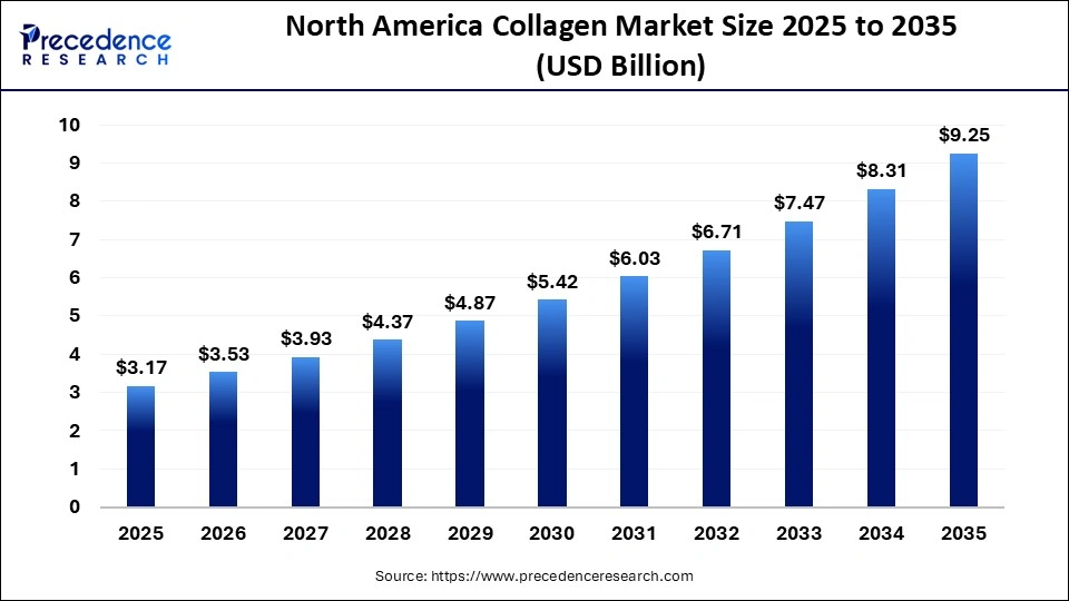 North America Collagen Market Size 2025 to 2035