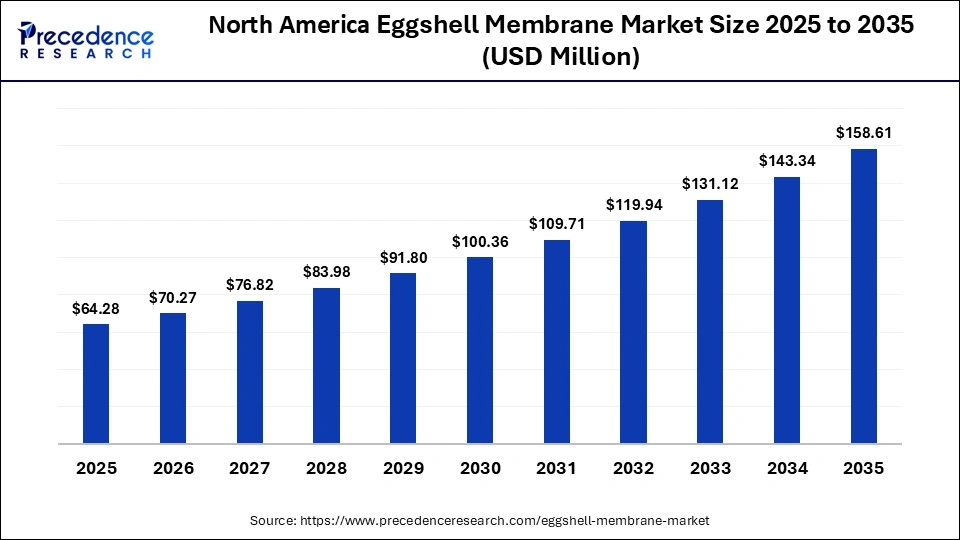 North America Eggshell Membrane Market Size 2025 to 2035