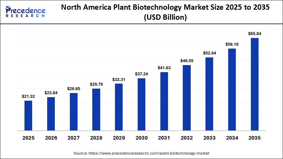 North America Plant Biotechnology Market Size 2025 to 2035 