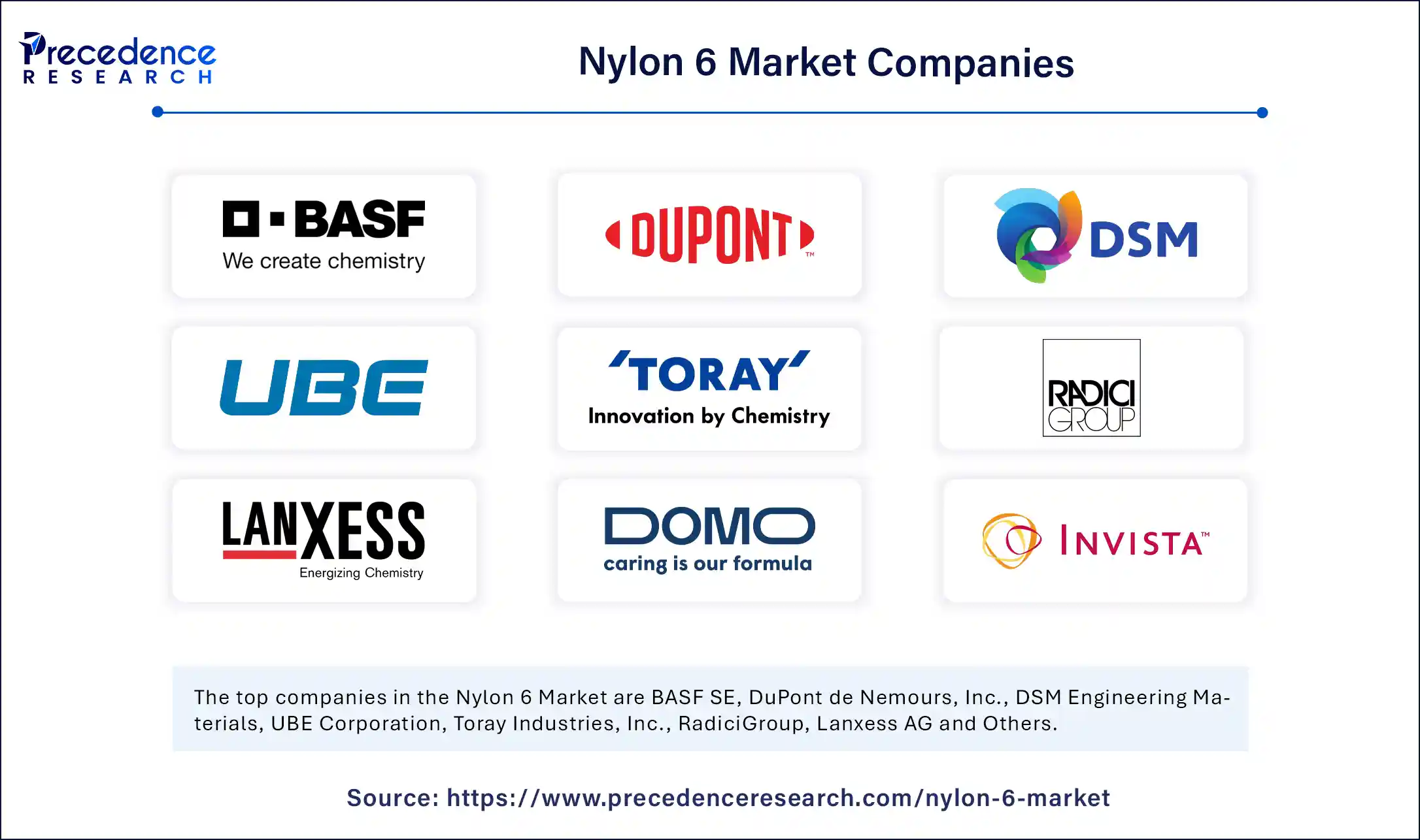 Nylon 6 Market Companies