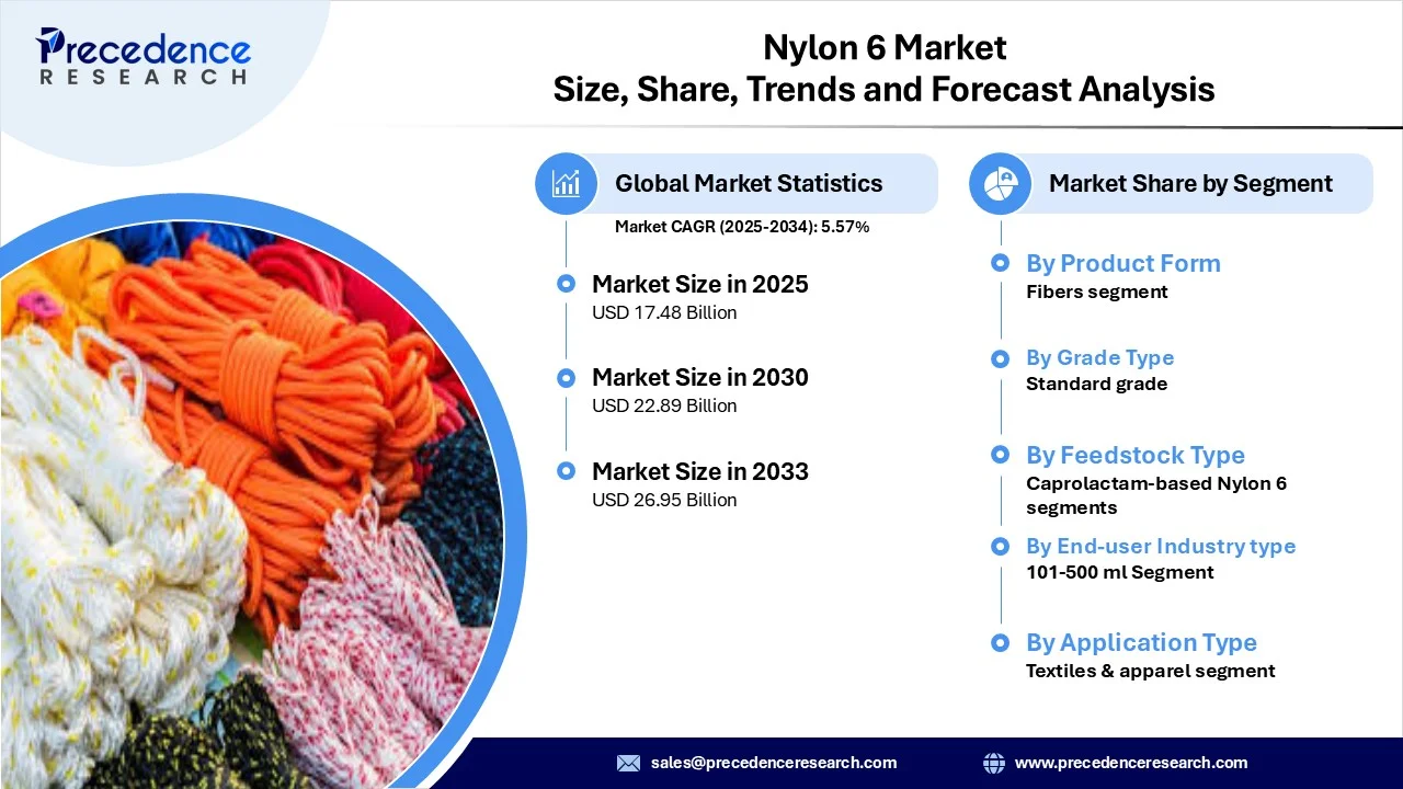 Nylon 6 Market Revenue Statistics
