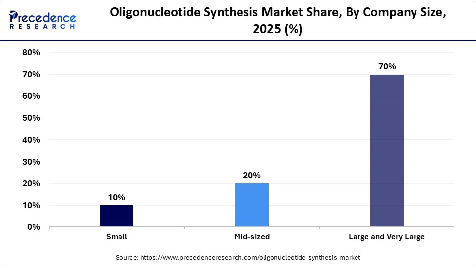 Oligonucleotide Synthesis Market Share, By Company Size, 2025 (%)