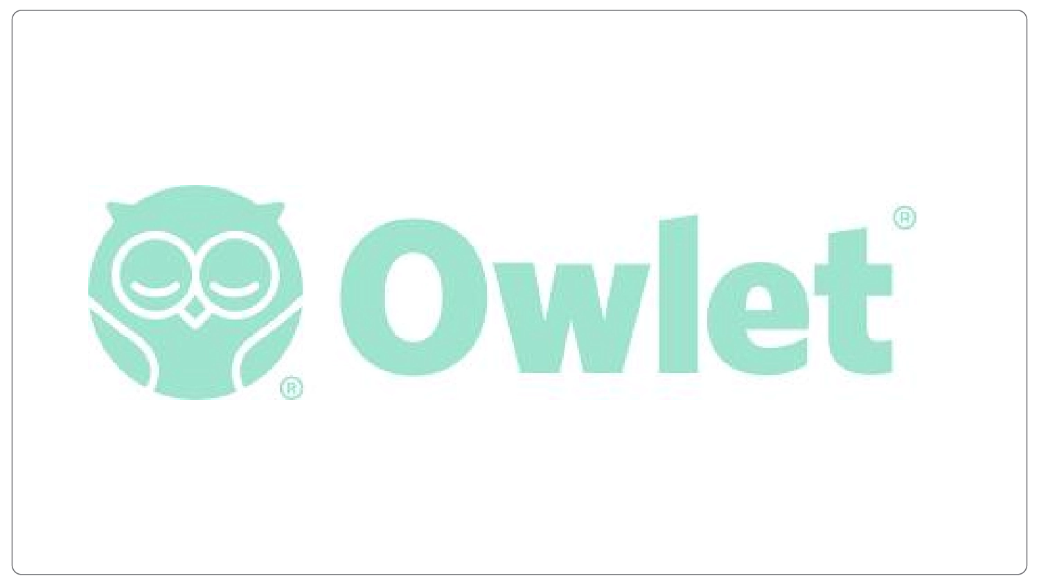 Owlet Owlet