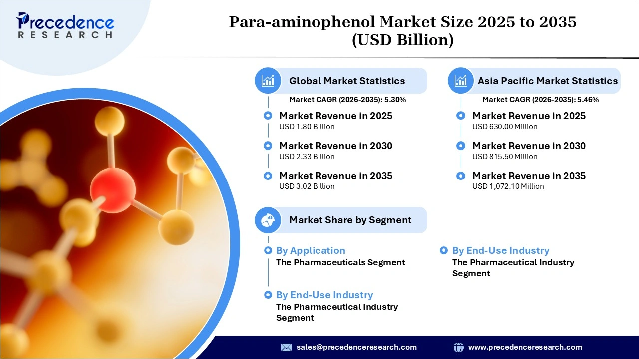 Para-Aminophenol Market Revenue Statistics