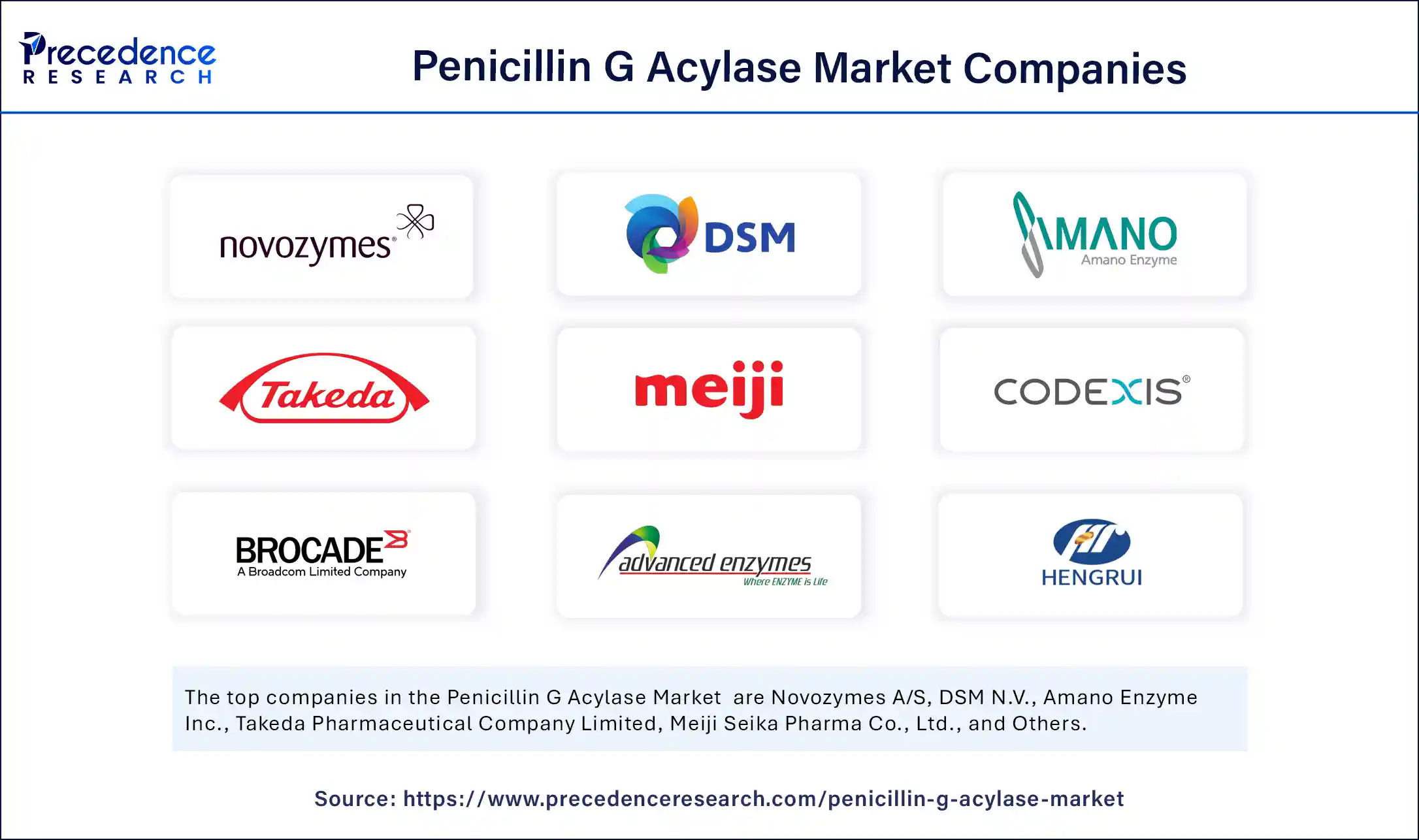 Penicillin G Acylase Market Companies