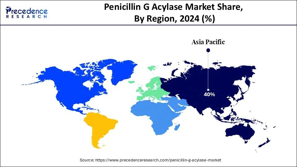 Penicillin G Acylase Market Share, By Region, 2024 (%)