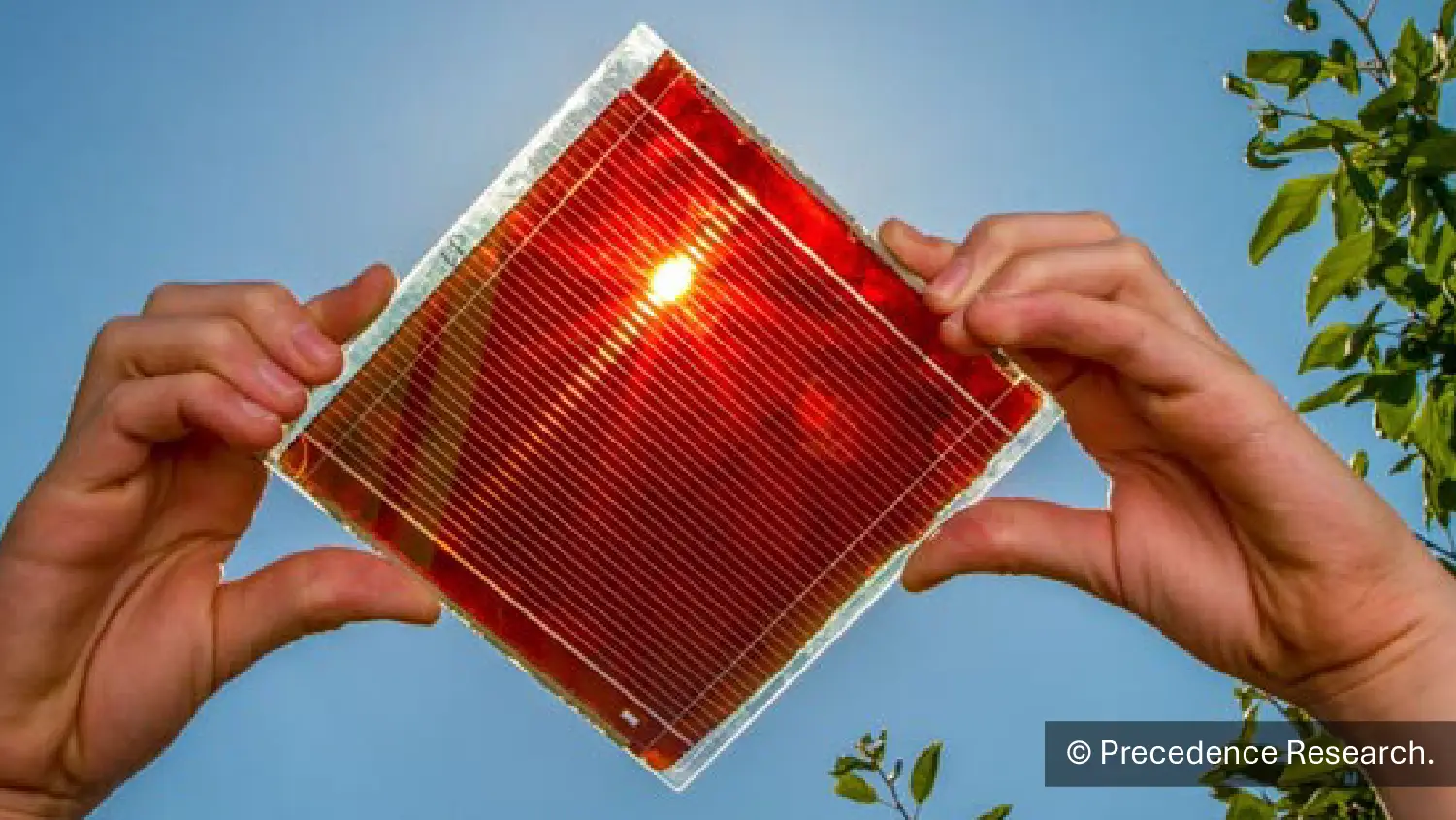 Perovskite Solar Cell