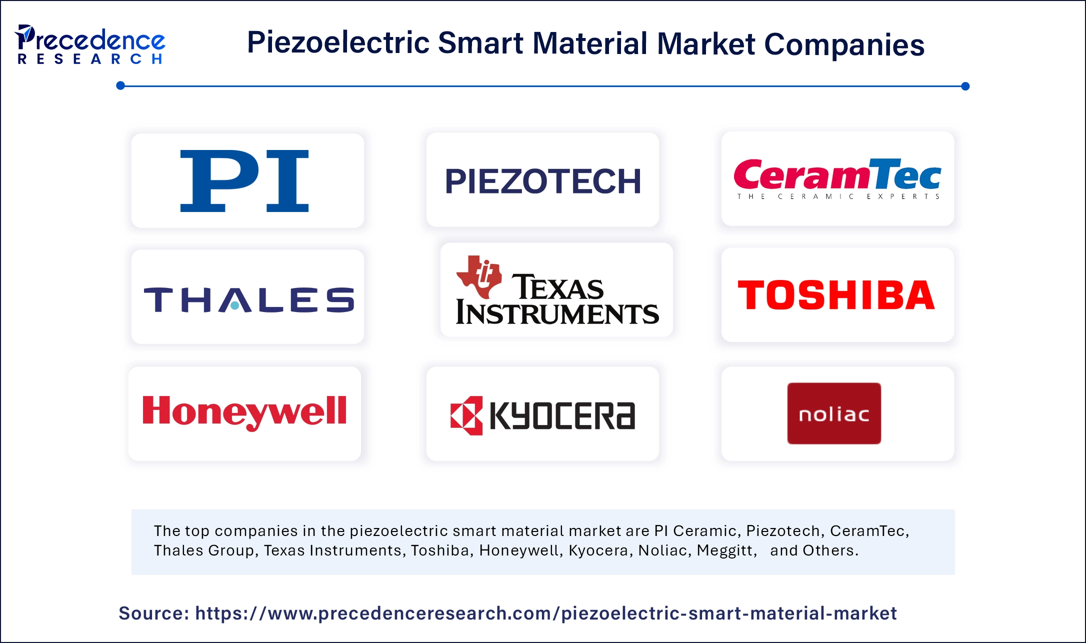 Piezoelectric Smart Material Market Companies