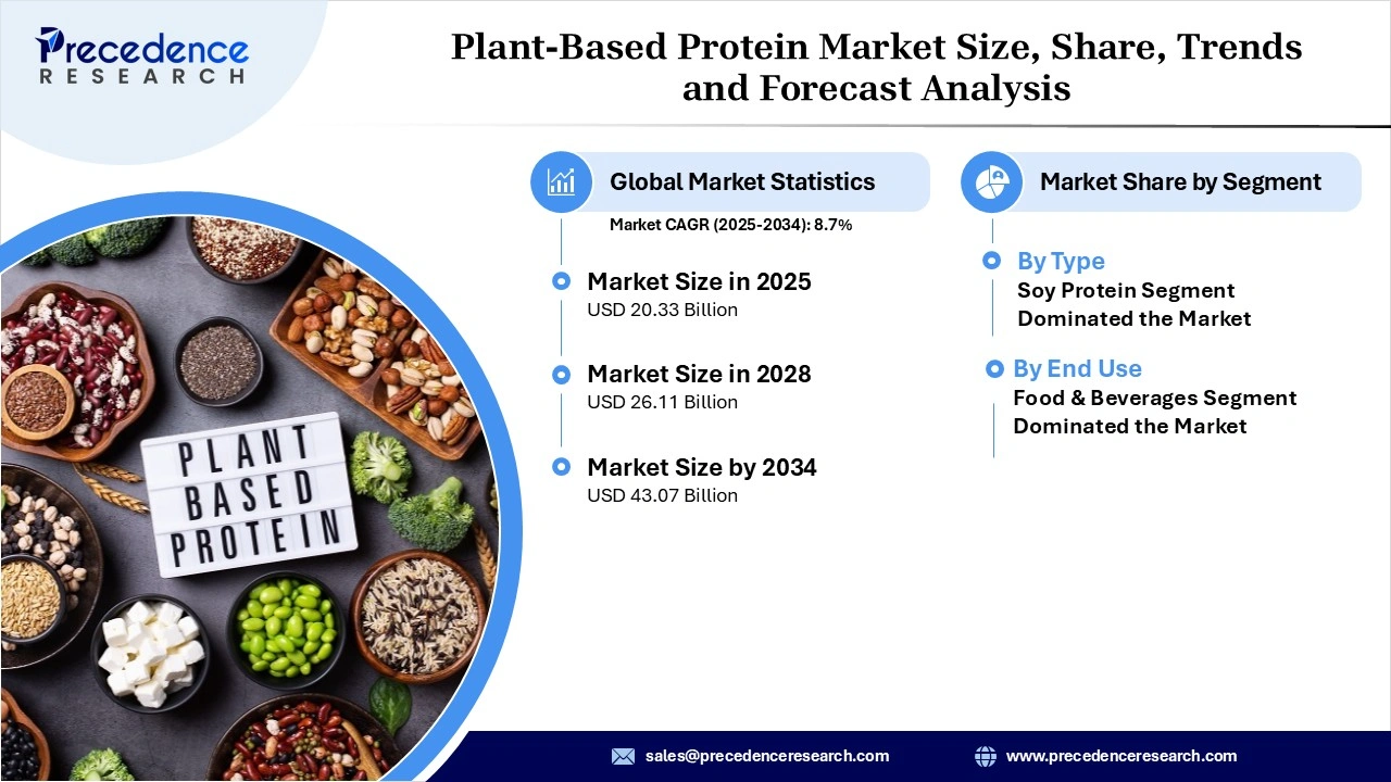 Plant-Based Protein Market Size 