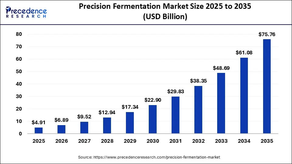 Precision Fermentation Market Size 2025 to 2035