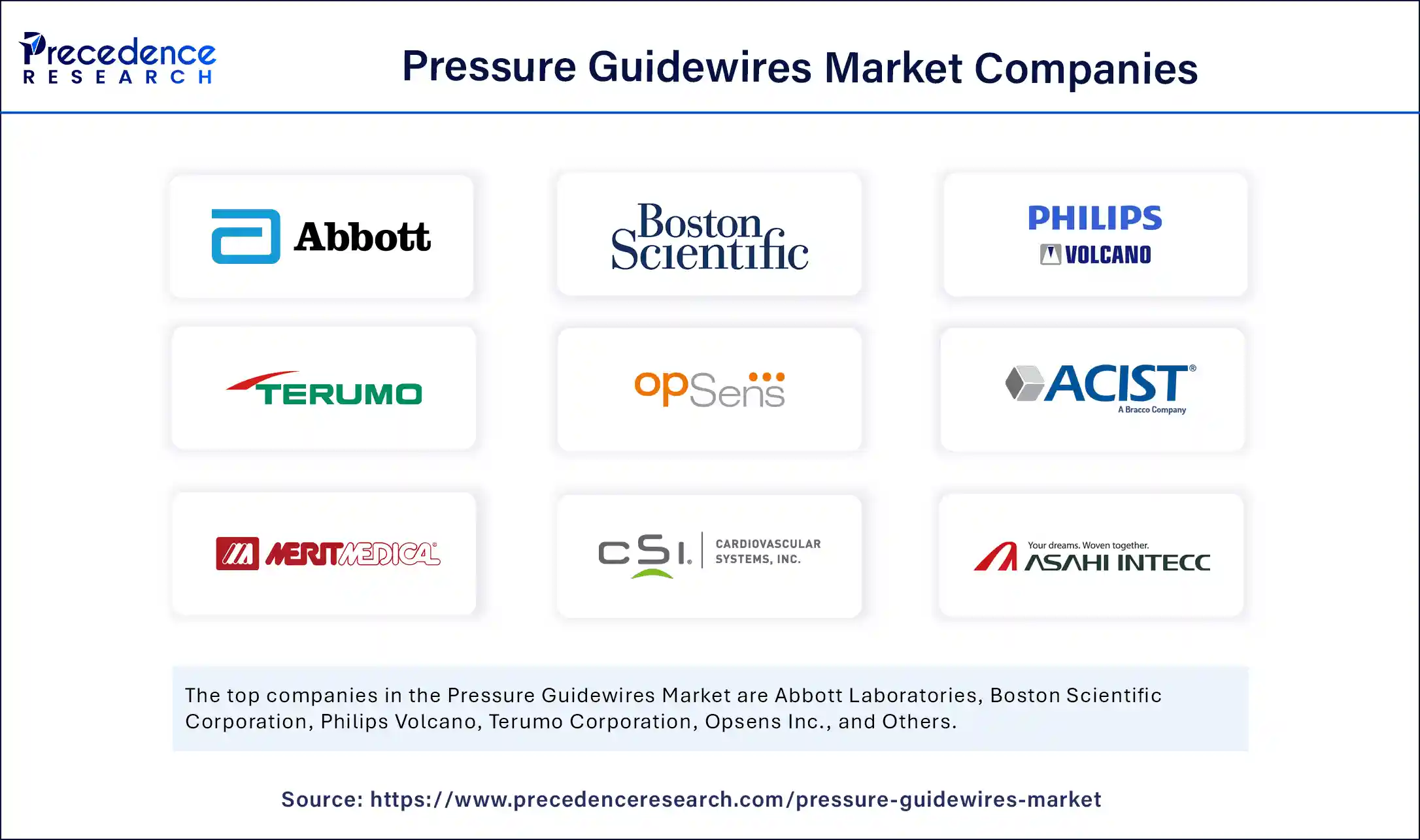 Pressure Guidewires Market Companies