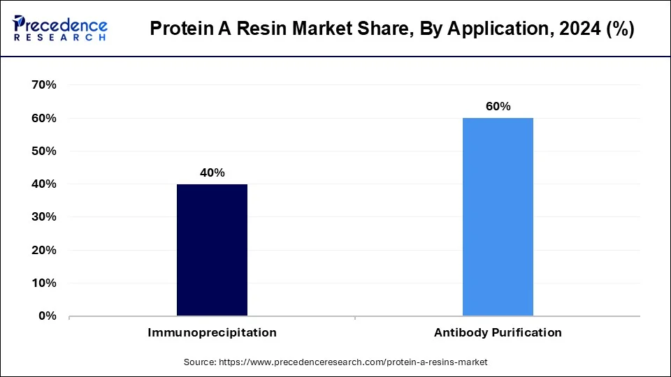 Protein a Resin Market Share, By Application 2024 (%)