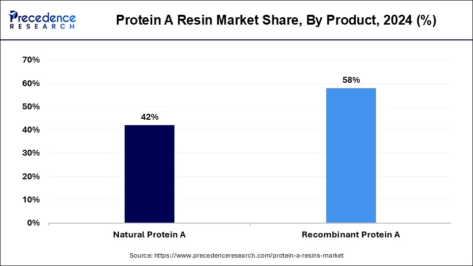 Protein a Resin Market Share, By Product, 2024 (%)