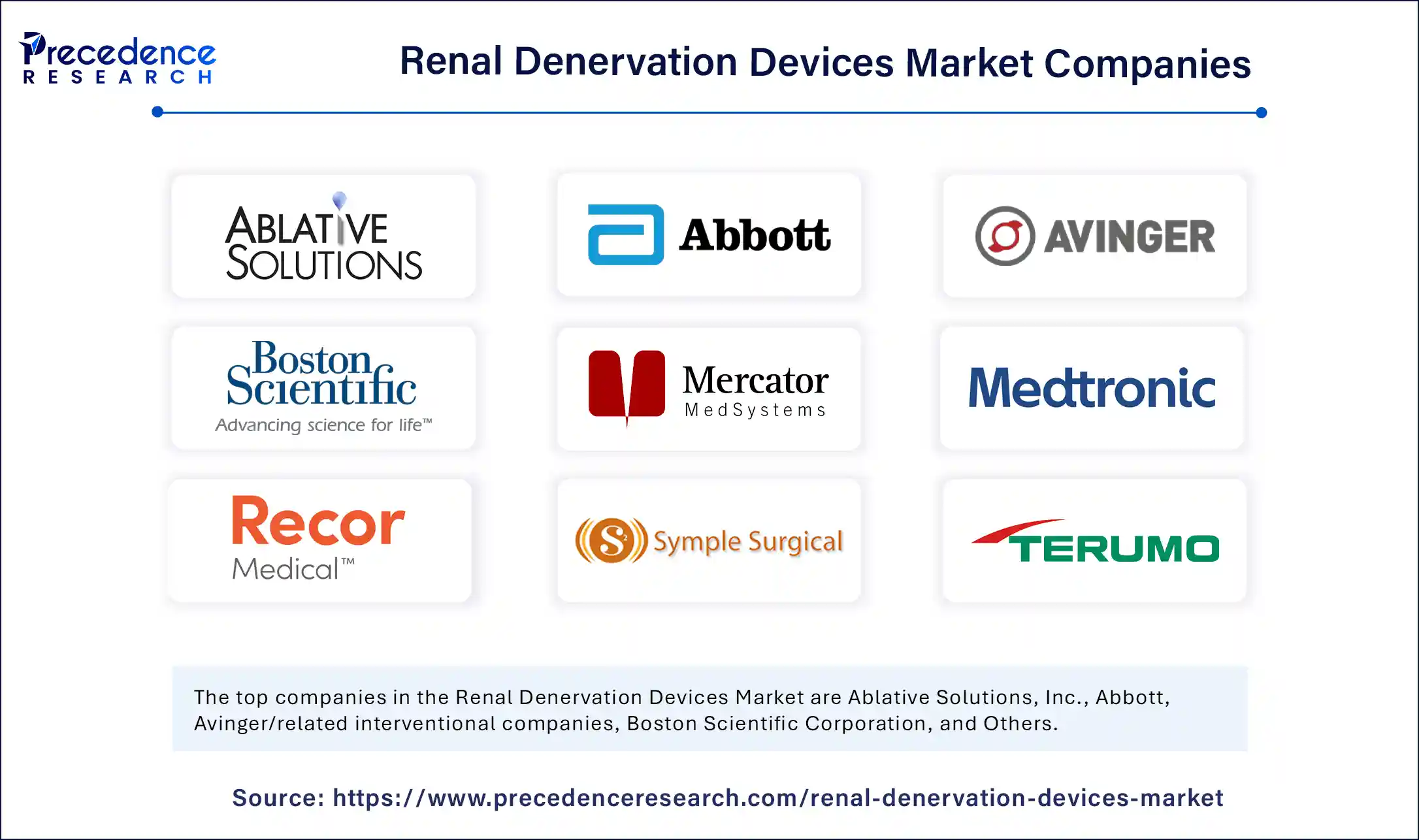 Renal Denervation Devices Market Companies