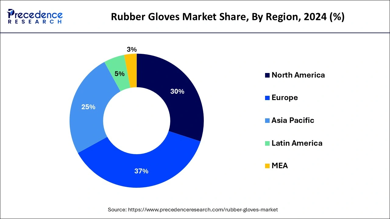 Rubber Gloves Market Market Share, By Region, 2024 (%)