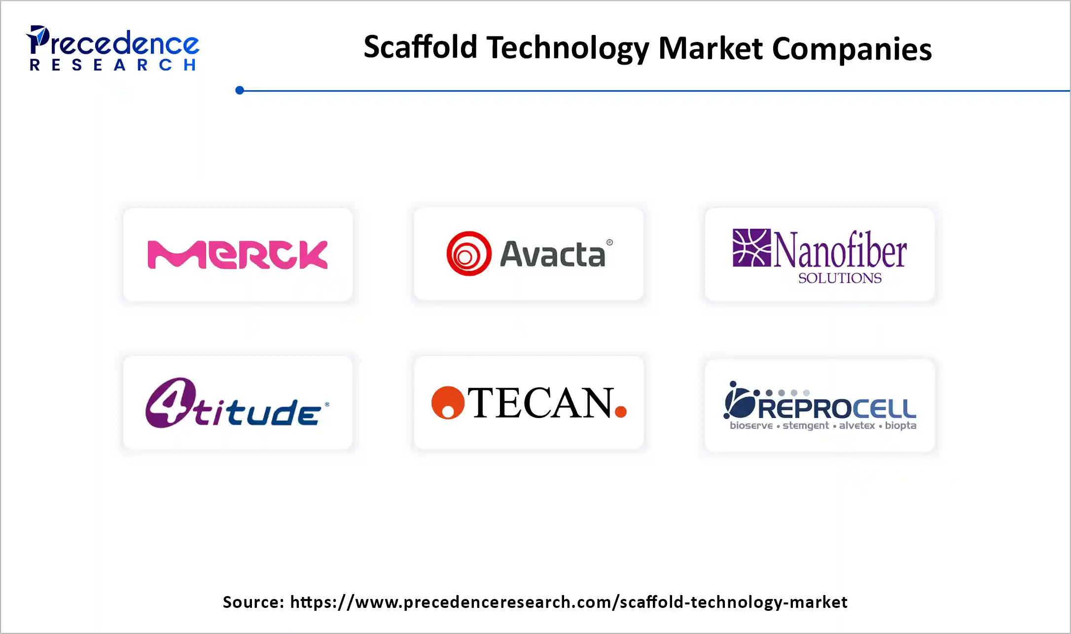 Scaffold Technology Market Companies