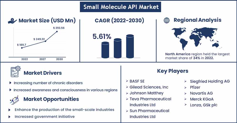 Small Molecule API Market Size and Growth Rate From 2022 To 2030