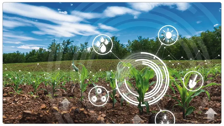 Soil Monitoring System