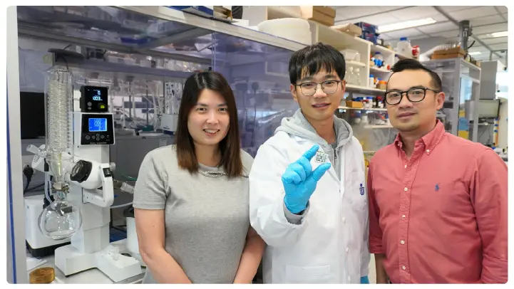 Solvent Free Perovskite Solar Cells HKUST Solvent Free Perovskite Solar Cells HKUST