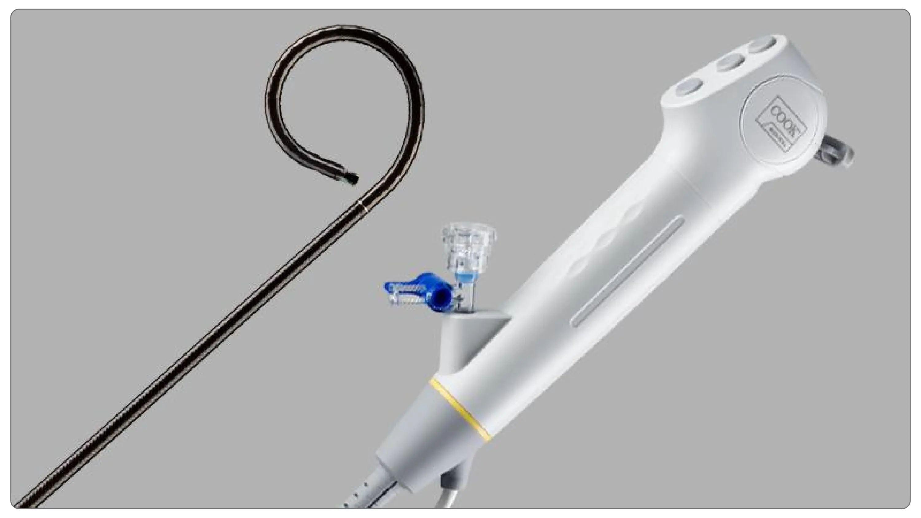Syfonix Suction Ureteral Access Sheath and Flexible Ureteroscope