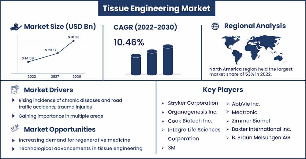 Tissue Engineering Market Size and Growth Rate From 2022 To 2030