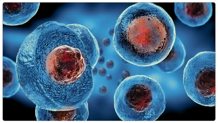 Tricelx Osteoarthritis Regenerative Therapy Ind