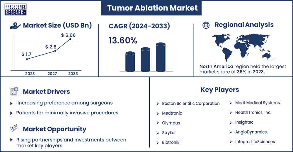 Tumor Ablation Market Size and Growth Rate From 2024 to 2033