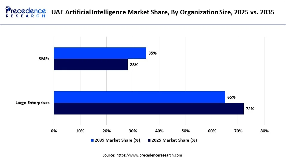 UAE Artificial Intelligence Market Share, By Organization Size, 2025 vs. 2035