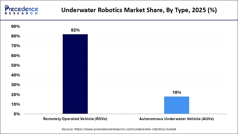 Underwater Robotics Market Share, By Type, 2025 (%)