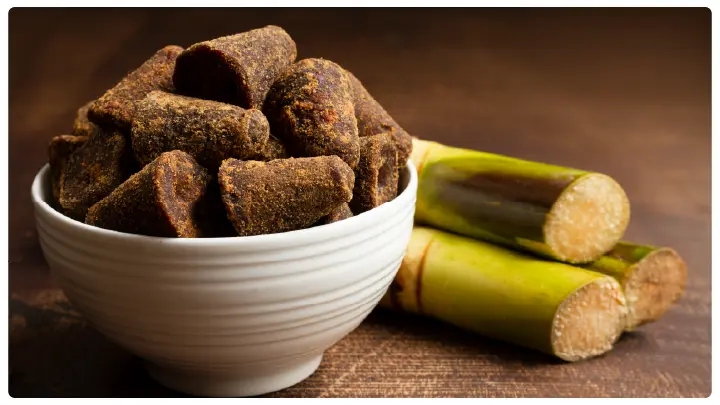 UP Sugarcane New Varieties Launch UP Sugarcane New Varieties Launch